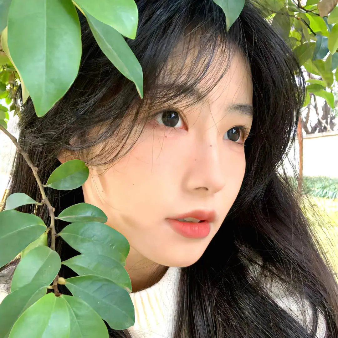 耶稣之子